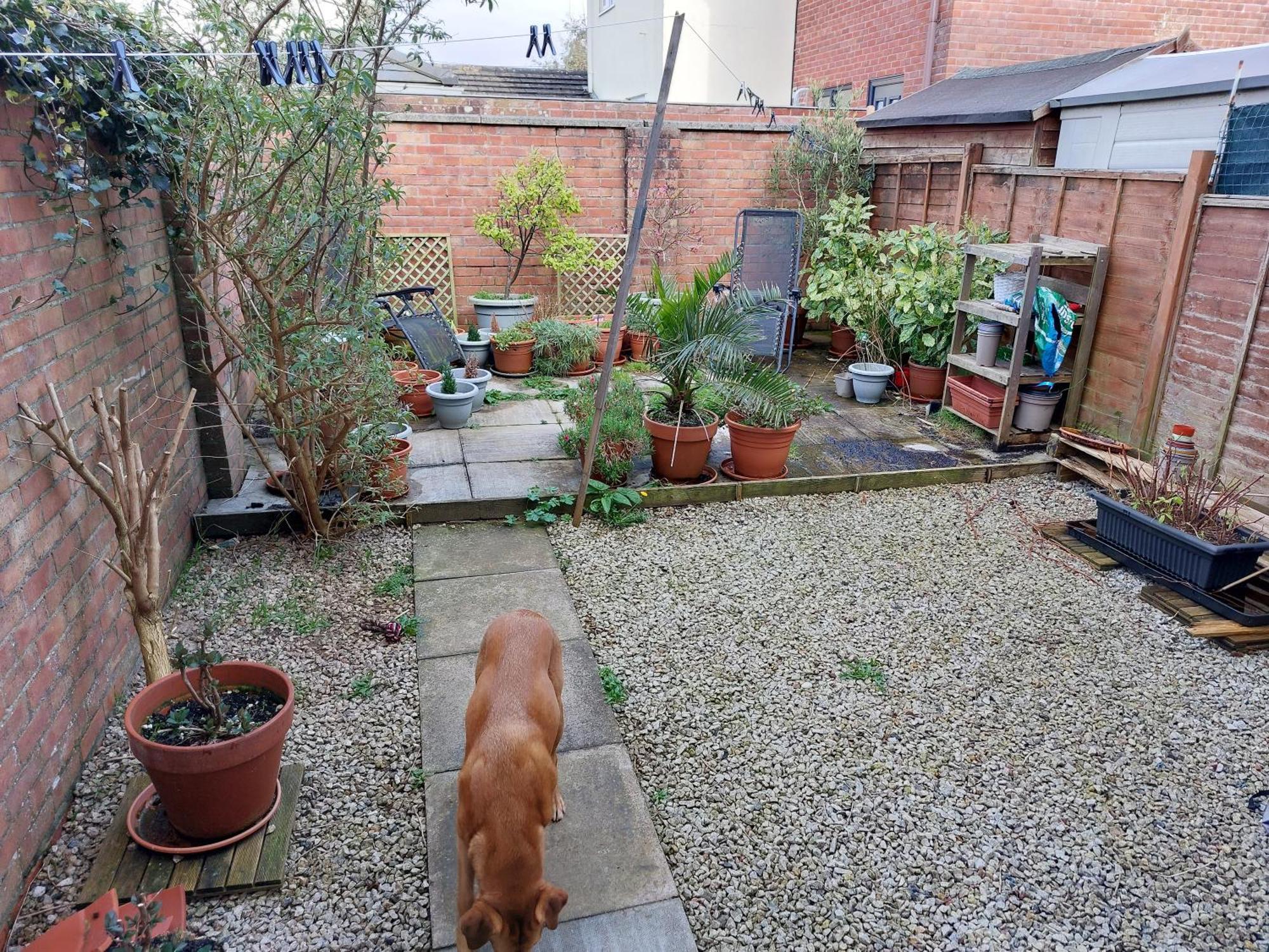 Bude Homestay Stratton  ภายนอก รูปภาพ